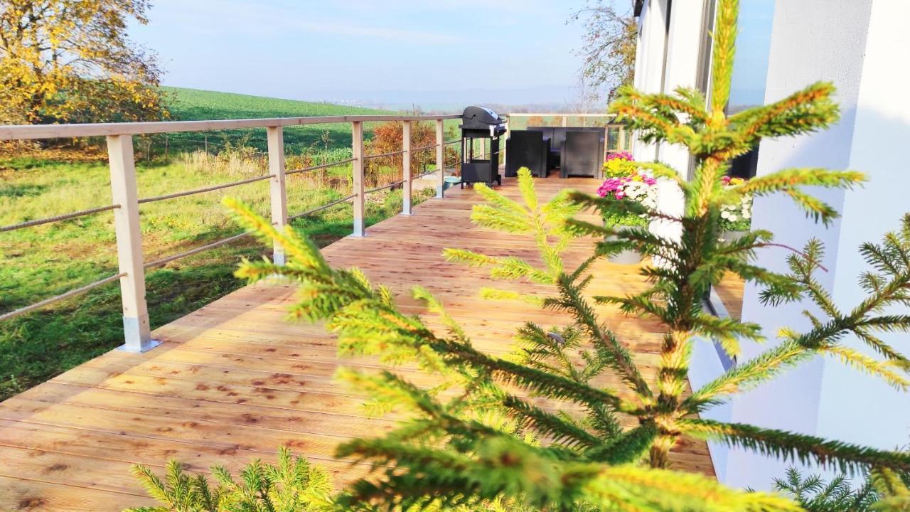 Ranch 66 - Moderni Tiny House Black Swallow Ve Stylu Route 66 Se Saunou A Bazenem Tršice Exterior foto